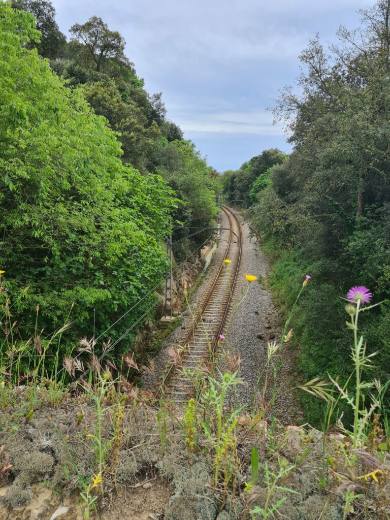 Spoorlijn tussen Blanes en Maçanet-Massanes | Fietsmagie