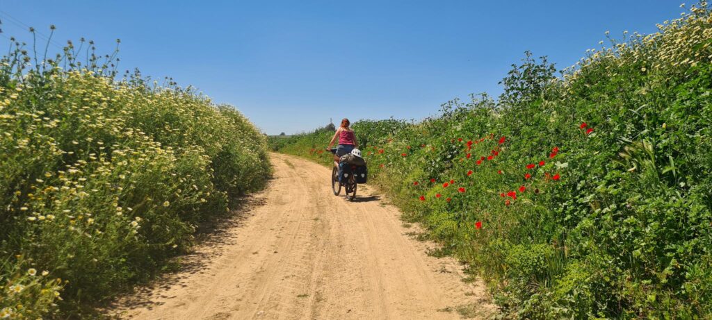 Vrouw op een fiets met kampeerspullen fietst over een gele zandweg met aan weerszijden hoge, groene bermen vol veldbloemen. De lucht is blauw.