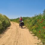 Vrouw op een fiets met kampeerspullen fietst over een gele zandweg met aan weerszijden hoge, groene bermen vol veldbloemen. De lucht is blauw.
